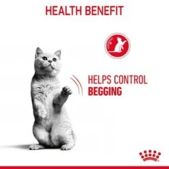 Royal Canin Appetite Control Care In Gravy -Meow Mart rc fcn appetitecontrolpouchgravy 6 en gb 0