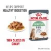 Royal Canin Digestive Care In Gravy -Meow Mart rc fcn digestivecarepouchgravy 1 en gb 6