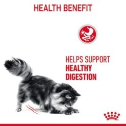 Royal Canin Digestive Care In Gravy -Meow Mart rc fcn digestivecarepouchgravy 6 en gb 3