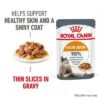 Royal Canin Hair & Skin Care In Gravy -Meow Mart rc fcn hair skinpouchgravy 1 en gb 1