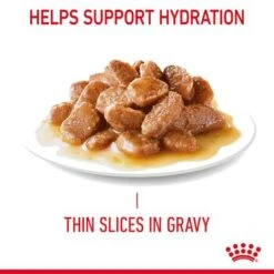 Royal Canin Hair & Skin Care In Gravy -Meow Mart rc fcn hair skinpouchgravy 7 en gb 0