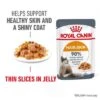 Royal Canin Hair & Skin Care In Jelly -Meow Mart rc fcn hair skinpouchjelly 1 en gb 1