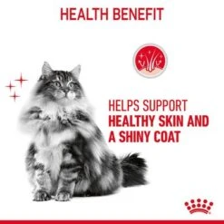 Royal Canin Hair & Skin Care In Jelly -Meow Mart rc fcn hair skinpouchjelly 6 en gb 5