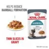 Royal Canin Hairball Care In Gravy -Meow Mart rc fcn hairballgravy 1 en gb 3