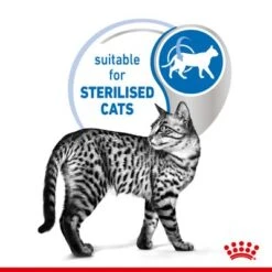 Royal Canin Indoor Sterilised Loaf -Meow Mart rc spt wet indsterloaf page 4 1 1