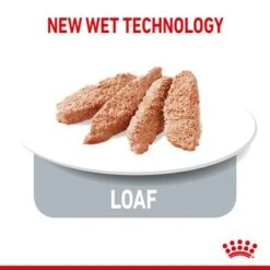 Royal Canin Indoor Sterilised Loaf -Meow Mart rc spt wet indsterloaf page 5 1 2