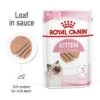 Royal Canin Kitten In Loaf 1 Royal Canin Kitten In Loaf -Meow Mart rc spt wet kitten loaf b1 page 01 6