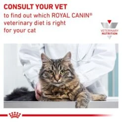 Royal Canin Veterinary Feline Skin & Coat -Meow Mart rc vet dry catskincoat b1 page 8 3