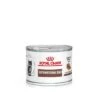Royal Canin Veterinary - Kitten Gastrointestinal -Meow Mart rc vet wet catgastrokit200g mv eretailkit de de 6
