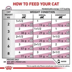 Royal Canin Veterinary - Renal With Chicken -Meow Mart rc vet wet catrenchicktsig eretailkit b1 cv 4 med res basic 5