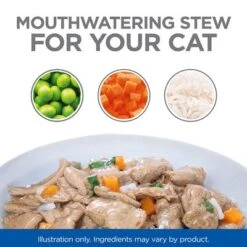 Hill's Science Plan Adult Healthy Cuisine With Chicken & Salmon -Meow Mart sp healthy cuisine thumbnails cat bowl 1