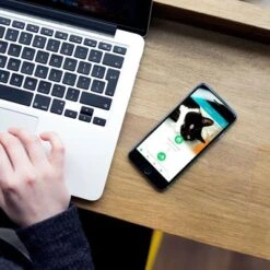 SureFlap Microchip Pet Door Connect -Meow Mart sureflap microchip petdoorconnect hs 13 1