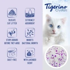 Tigerino Crystals Cat Litter Mixed Trial Pack -Meow Mart tigerino boards benefits crystals lavander en 1000x1000 2