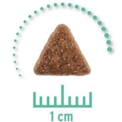 Concept For Life Veterinary Diet Economy Pack 2 X 10kg -Meow Mart zop 19 0101 cfl vet cat hypoallergenic 1000x1000px 2